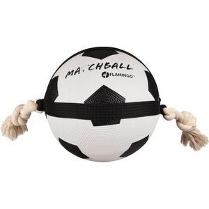 Hondenspeelgoed Matchbal voetbal - Zwart - 22 cm