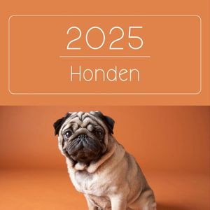 Maandkalender 2025 - Omslagkalender / verjaardagen kalender - 28 x 28 cm - Honden