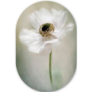 Bloemen - Natuur - Anemoon - Wit Kunststof plaat (3mm dik) - Ovale spiegel vorm op kunststof