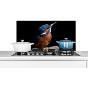 Spatscherm keuken 90x45 cm - Kookplaat achterwand IJsvogel - Tak - Veren - Zwart - Muurbeschermer - Spatwand fornuis - Hoogwaardig aluminium