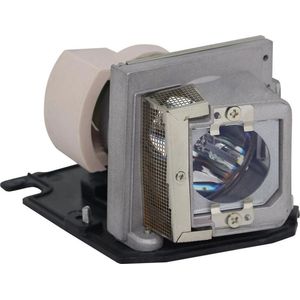 Acer EC.J9900.001 Projector Lamp (bevat originele P-VIP lamp)