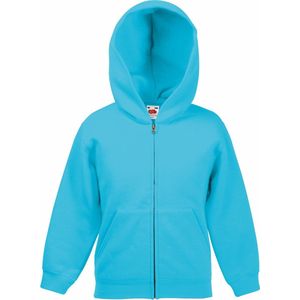 Fruit Of The Loom Kinderen / Kinder Unisex Sweatshirt met capuchon (Azure Blauw)