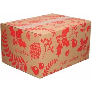 Kartonnen cadeaudoos - 35 x 30 x 16,5 cm | Giftbox | Cadeau verpakking | Feestelijke kartonnen dozen | Rood
