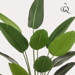 Kunstplant - Strelitzia Nicolai - Paradijsvogelbloem - 180 cm