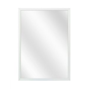 Spiegel met Luxe Aluminium Lijst - Mat Zilver - 30x40 cm