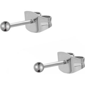 Fako Bijoux® - Oorbellen - Steker - RVS - Stainless Steel - Knopje - 2mm - Zilverkleurig