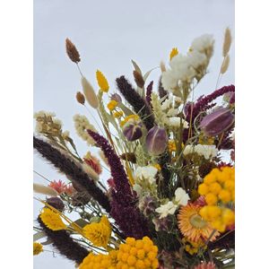 Boeket droogbloemen Retrospective L | Droogboeket in nostalgische kleuren | Lengte 60 centimeter | Per boeket te bestellen