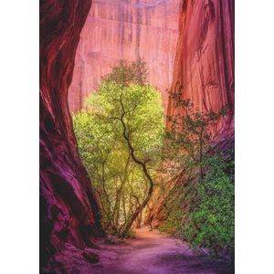 Puzzel Singing Canyon (1000 stukjes) - Power of Nature