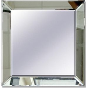 Spiegel met Spiegelrand 50x50 - zilver / Grijs metalic