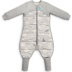 Love To Dream™ Slaappak – Pyjama en dekbed in 1 - Kleuter vanaf 3 jaar – Winter – White