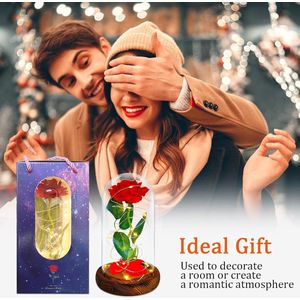 The Beautiful and the Beast Rose in Glass Dome on Wooden Pedestal - Gift for Valentine's Day, Mother's Day, Christmas, Anniversary, Wedding