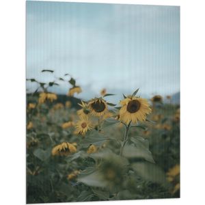 WallClassics - Vlag - Gele Zonnebloemen in het Veld - 75x100 cm Foto op Polyester Vlag