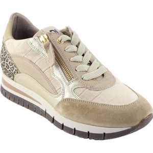 DL Sport 6329.Vel. Avena