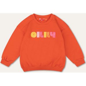 Hooray sweater 17 cherry tomato with artwork Orange: 128/8yr