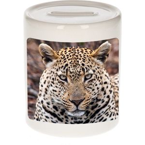 Dieren jaguar foto spaarpot 9 cm jongens en meisjes - Cadeau spaarpotten jaguar jaguars liefhebber