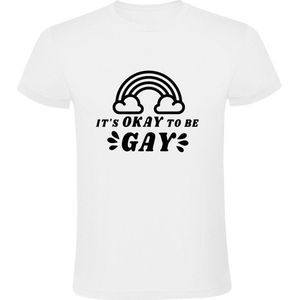 It's okay to be gay Heren T-shirt