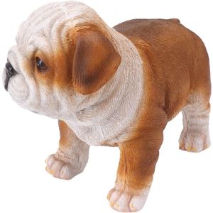 Decoratief Bulldog Puppy Standbeeld van Weerbestendige Hars voor Thuis en Tuin