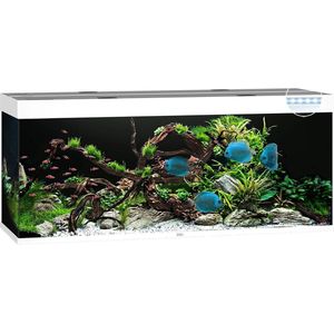 Juwel Rio 450 LED Aquarium - Wit - 450L - 151 x 51 x 66 cm