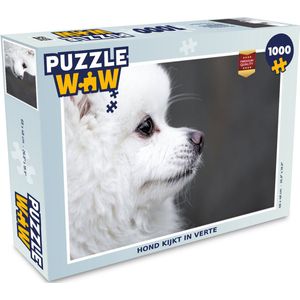 Puzzel Hond kijkt in verte - Legpuzzel - Puzzel 1000 stukjes volwassenen