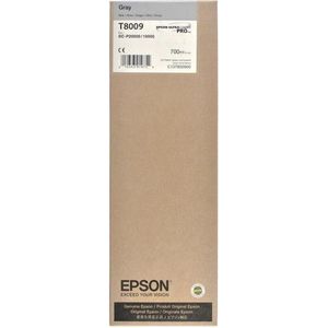 Original Ink Cartridge Epson C13T800900 Grey