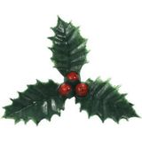 Groene kersttakjes op steker