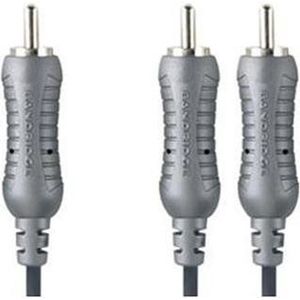 Bandridge AL412 audio kabel 3 m RCA 2 x RCA Grijs