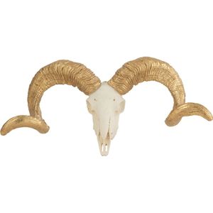 J-line - Schedel Schaap Resine Wit/goud Small - 32x11x16cm