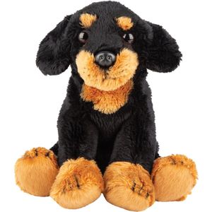 Pluche knuffel dieren Zwarte Tekkel hond 13 cm - Speelgoed knuffelbeesten - Honden soorten