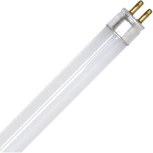 TL-buis T4 10W/841 Ø12x292mm excl. pinnen (12x303mm incl. pinnen)