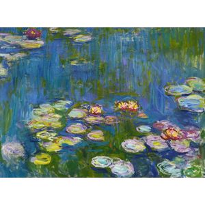 Bluebird Claude Monet - Water Lilies Puzzel 3000 stukjes