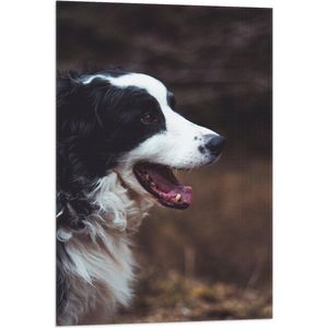 WallClassics - Vlag - Zwart Witte Hond met open Mond - 60x90 cm Foto op Polyester Vlag