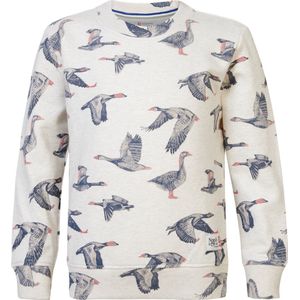Noppies Boys Sweater Deltona long sleeve all over print Jongens Trui - Oatmeal - Maat 122