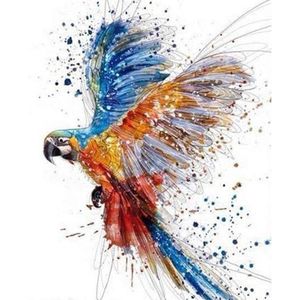 Painting Expert® Schilderen op nummer Volwassenen - Schilderen op nummer Kinderen - Vogel - 40x50cm - Exclusief Lijst (24 kleurtjes)