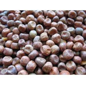 Maple peas erwten 25kg