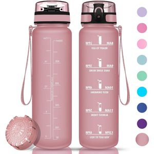 BPA-vrije drinkfles met fruitfilter - 500ml - lekvrij - Tritan