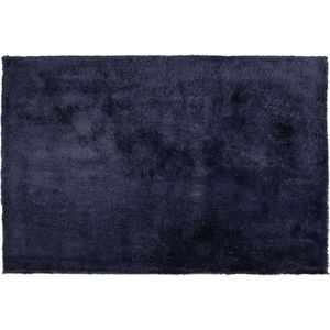 EVREN - Shaggy vloerkleed - Blauw - 160 x 230 cm - Polyester