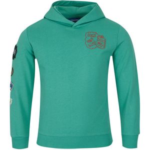 Jongens sweater - Fred-SB-16-D - Groen