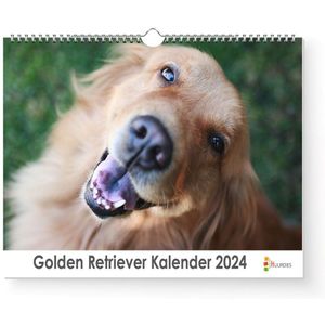 XL 2024 Kalender - Jaarkalender - Golden Retriever