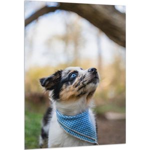WallClassics - Vlag - Omhoogkijkende Puppy met fel Blauwe Ogen in het Bos - 100x150 cm Foto op Polyester Vlag