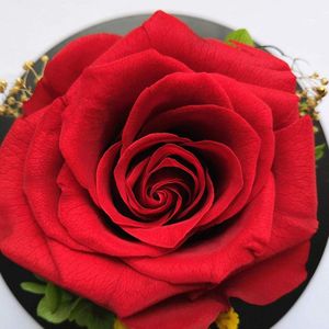 1 bloem geconserveerde roos met geschenkdoos, eeuwige roos LED-lichtketting bruiloft, verjaardag, Valentijnsdag, Moederdag, jubileum - echte rozen