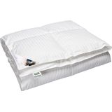 Polydaun Liv - Dekbed - Enkel - Anti-allergeen - Tripleguard Behandeling - Eenpersoons XL