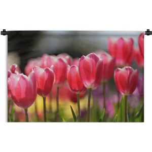 Wandkleed Tulp - Roze tulpenbloemen Wandkleed katoen 180x120 cm - Wandtapijt met foto XXL / Groot formaat!