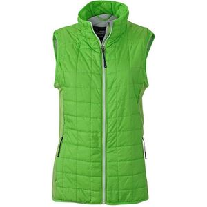 James and Nicholson Vrouwen/dames Hybride Vest (Lente groen/zilver)