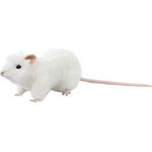 Witte rat L 29cm