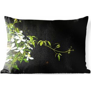 Buitenkussens - Tuin - Een kruipende tak van witte clematis op een zwarte achtergrond - 50x30 cm