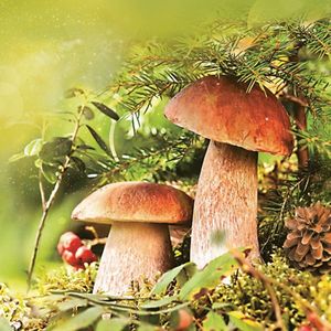 papieren lunch servetten - Couple of Boletus