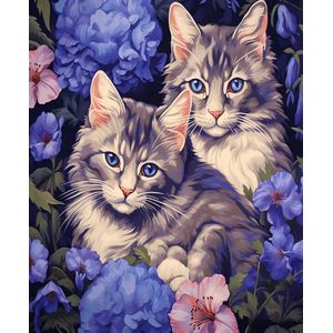 Schilderen op nummer Volwassenen - Katten / poezen - 40 x 50 centimeter - Paint by numbers - Verven - Volwassenen - Cadeau voor man en vrouw