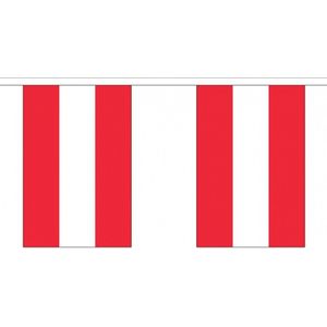 2x Buiten vlaggenlijn Oostenrijk 3 meter - Oostenrijkse vlag - Supporter feestartikelen - Landen decoratie en versieringen