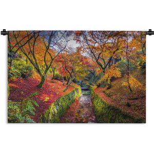 Wandkleed Esdoorn - Uitzicht op de kleurrijke bladeren van de esdoorns Wandkleed katoen 120x80 cm - Wandtapijt met foto