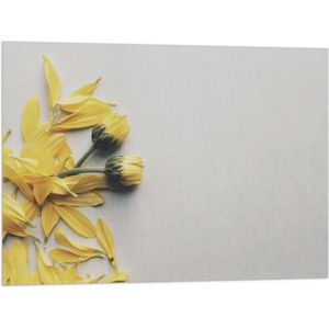 WallClassics - Vlag - Gele Bloemen met Losse Bloemblaadjes op Witte Achtergrond - 80x60 cm Foto op Polyester Vlag